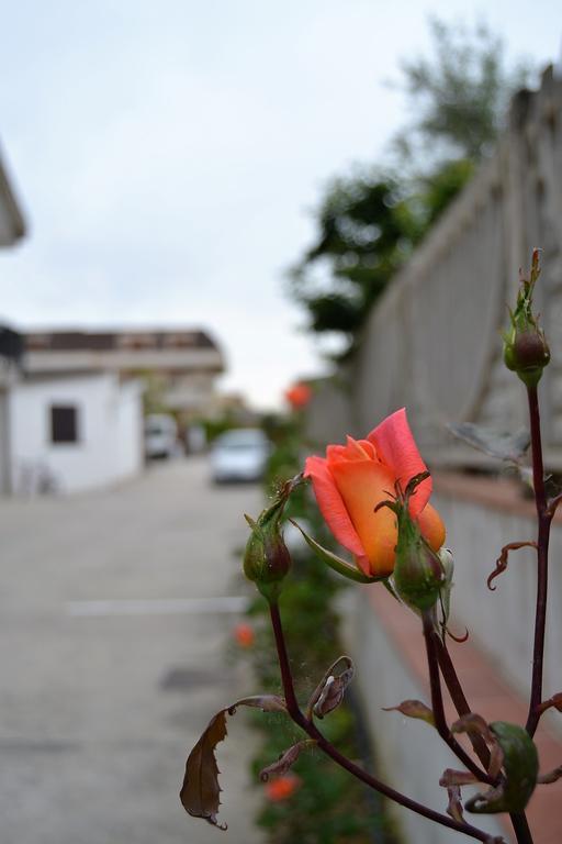Il Girasole Formia Guesthouse Rooms Buitenkant foto