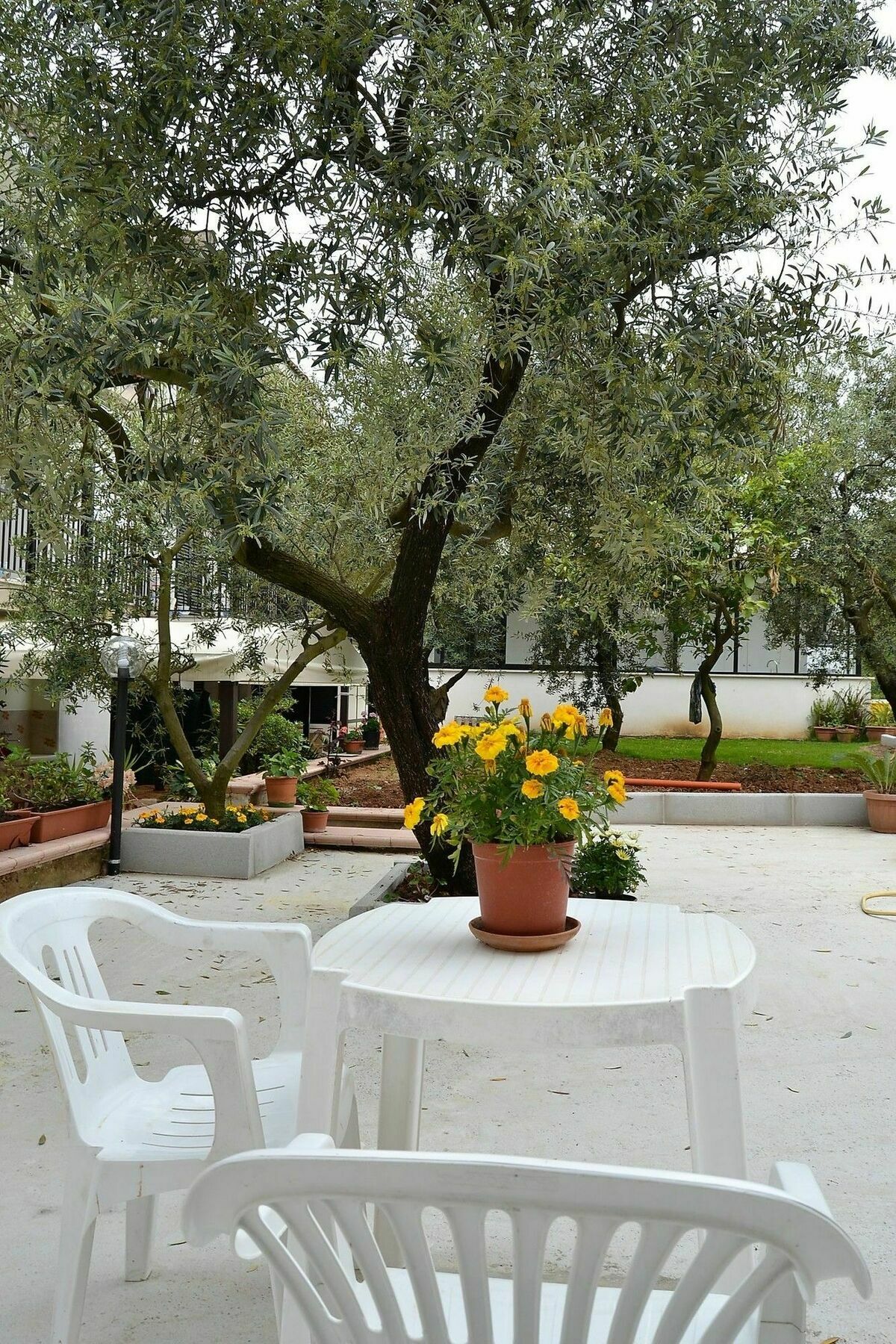 Il Girasole Formia Guesthouse Rooms Buitenkant foto
