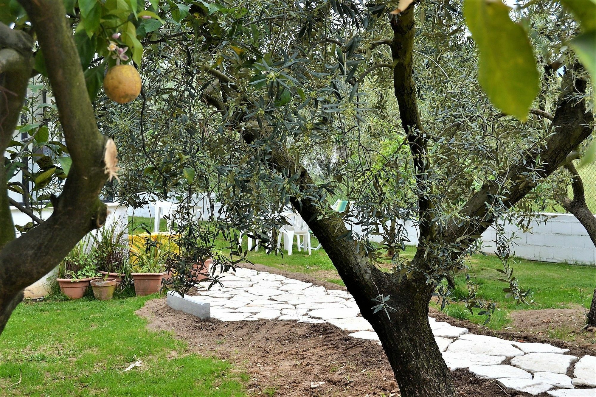 Il Girasole Formia Guesthouse Rooms Buitenkant foto